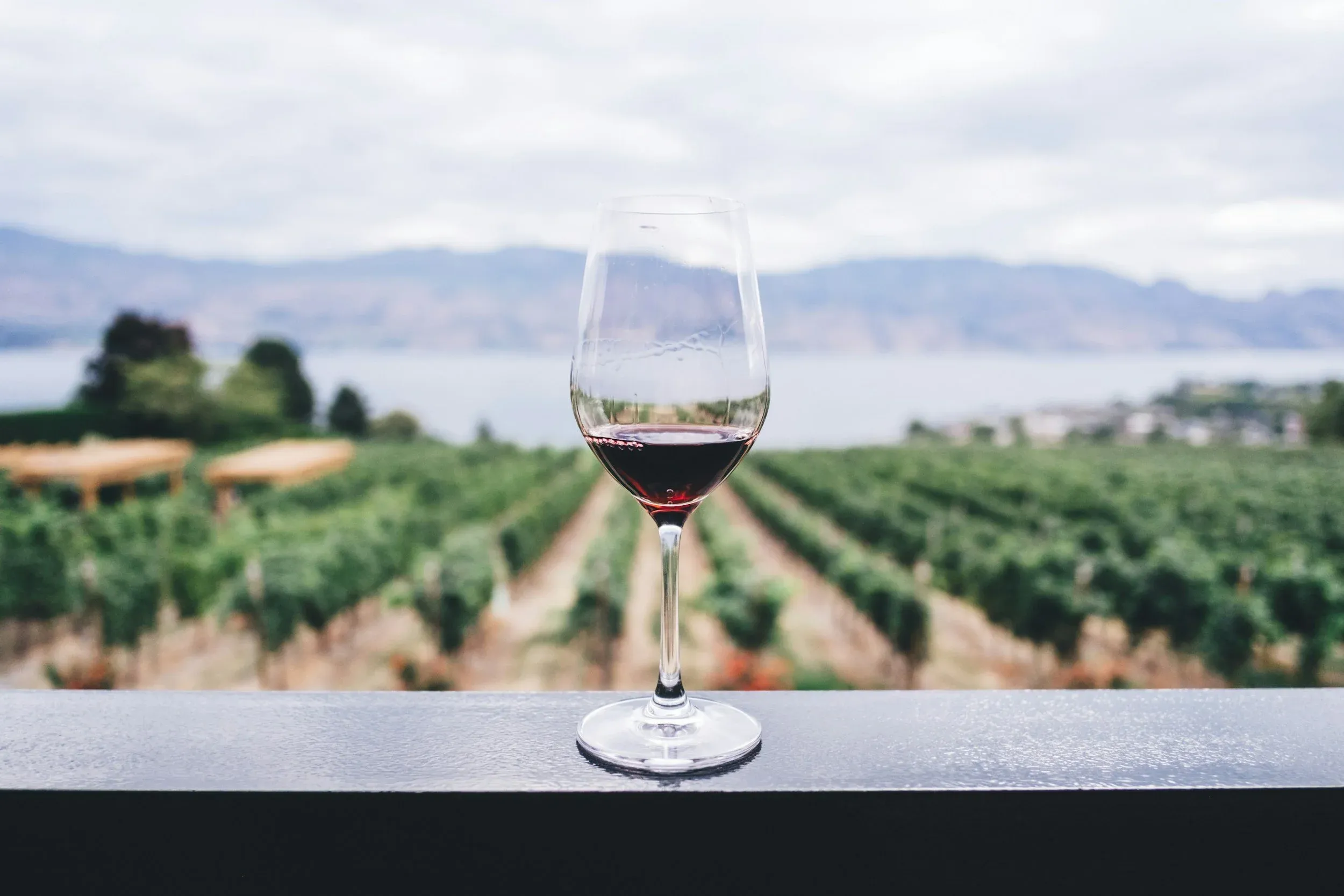 Wine glass resting tantalizing on a railing in front of sweeping vineyard views