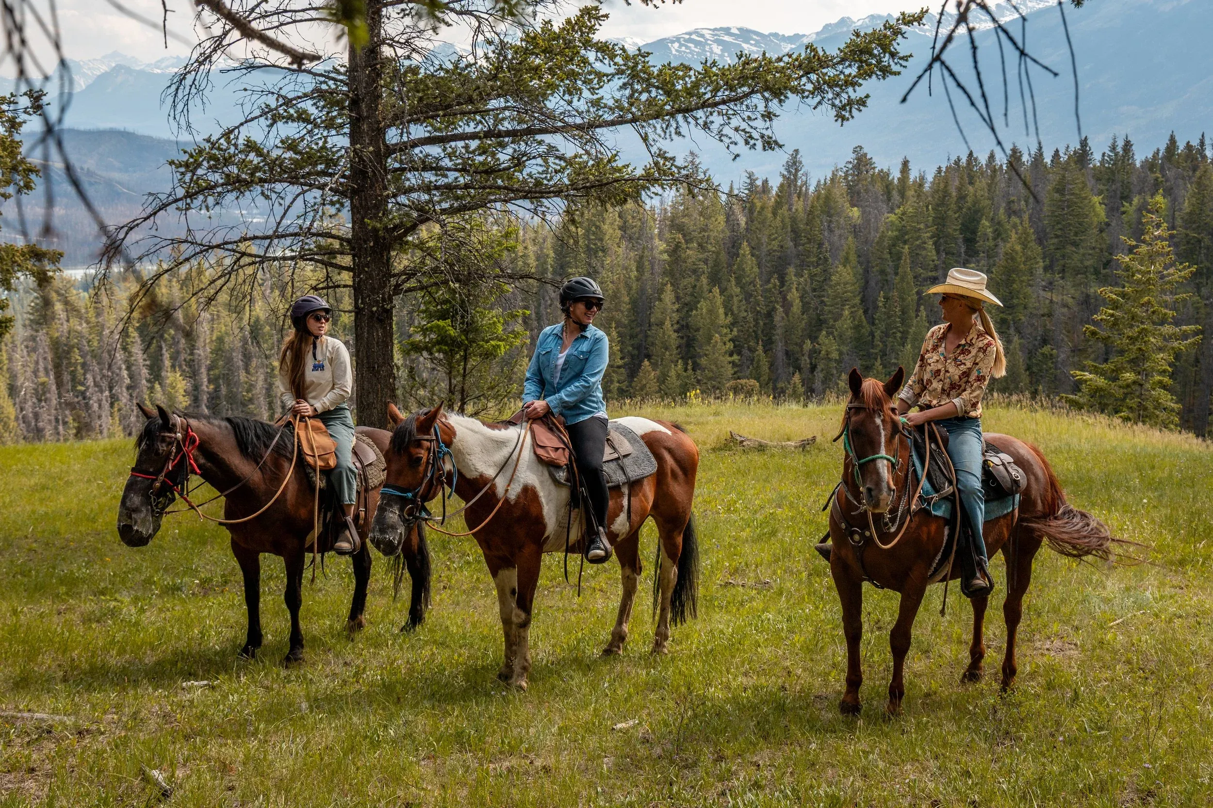 Three women enjoying a guided horseback riding tour through a green mountain meadow surrounded by evergreen pine forests.